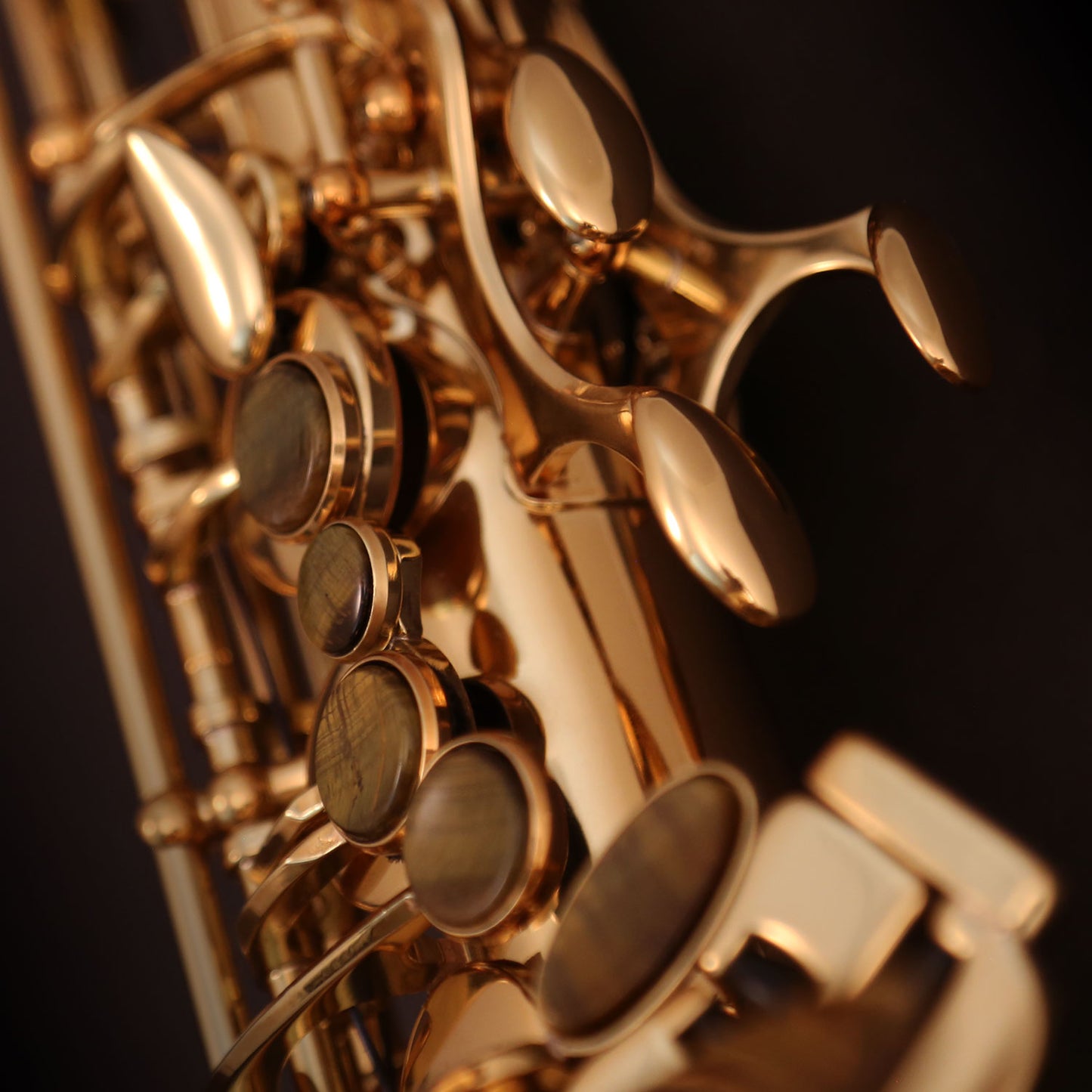 Cannonball A4-L alto saxophone upper keywork detail