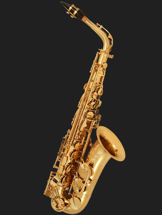 Cannonball A5-L Big Bell Stone Series alto saxophone in Rich Gold Lacquer - product image 1