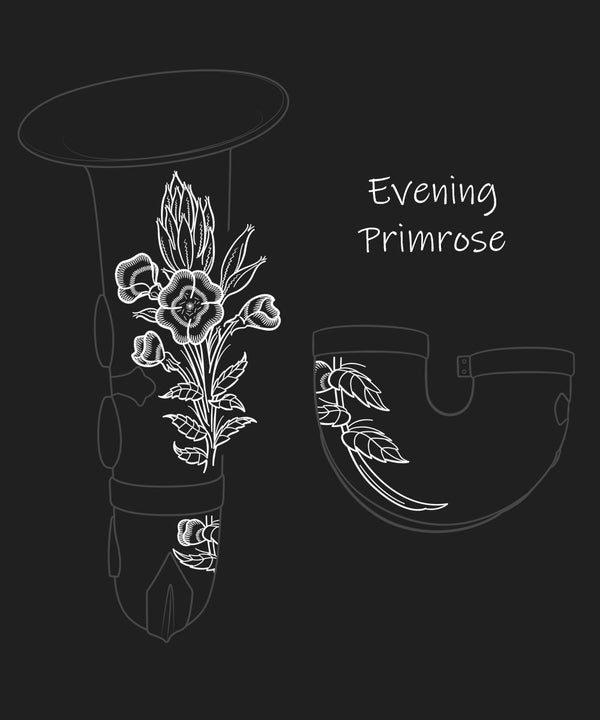 Evening Primrose