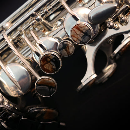 Cannonball GT5-SB Gerald Albright Signature Series Sassofono tenore – Argento / nichel nero
