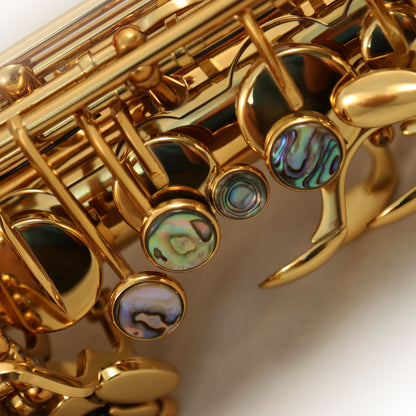 Cannonball TScep-L Sceptyr™ Semi-Pro Sassofono tenore – Rich Gold Lacquer