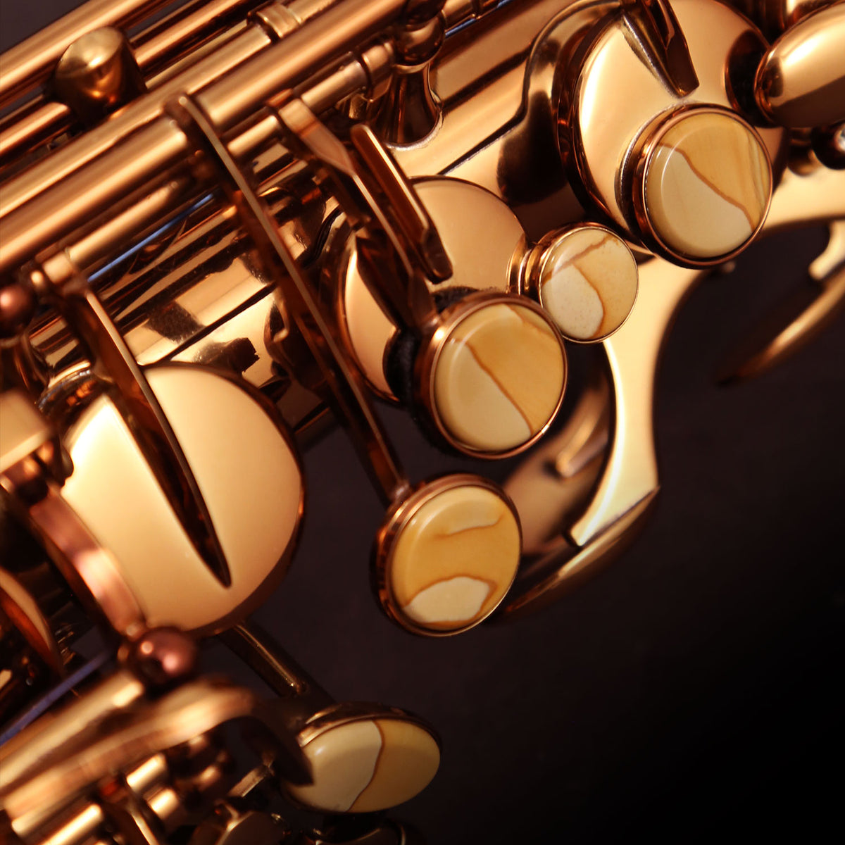 Cannonball AVR-L Vintage Reborn® Series Alto Saxophone – Dark Amber Lacquer — product image 3